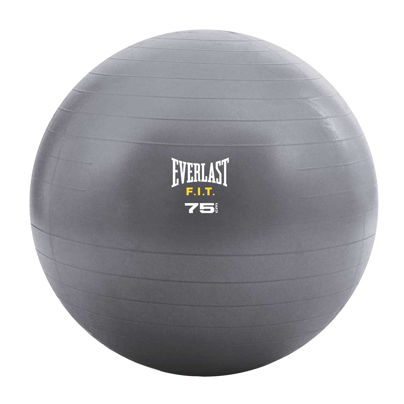 Everlast Stability Ball